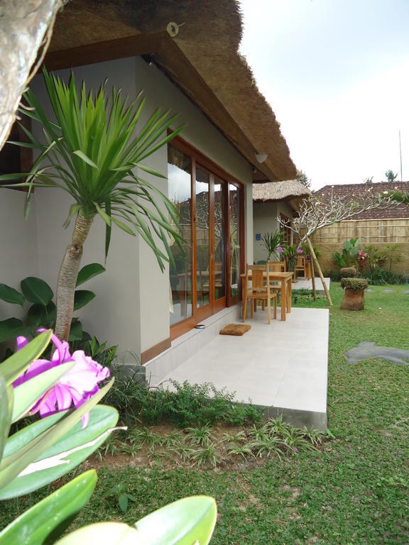 Suka's House